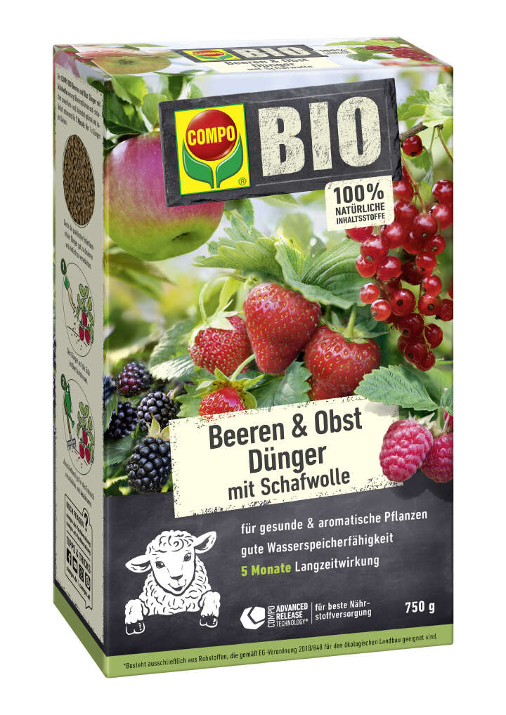 COMPO BIO Beeren- & Obst Dünger mit Schafwolle